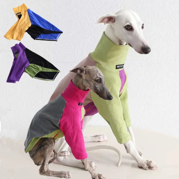 XS-2XL Spring Soft Cotton Dog Turtleneck Sweater