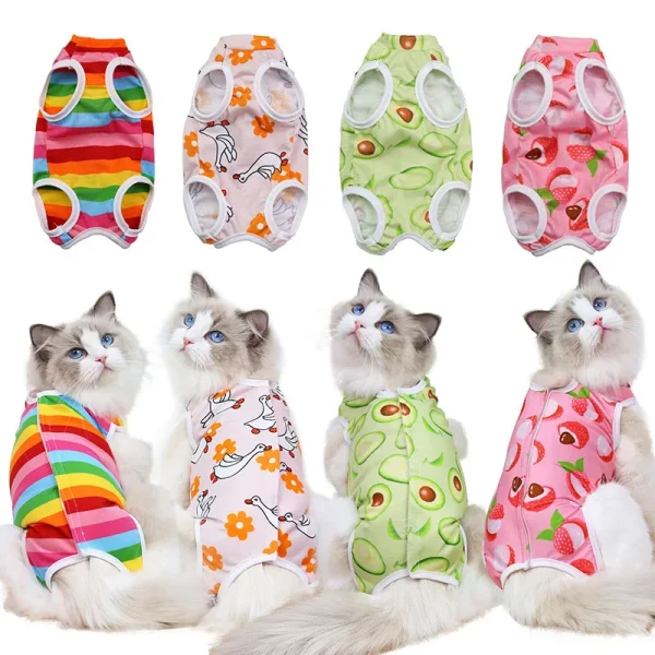 Cat Surgery Recovery Suit